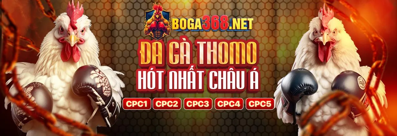 Hoàn Trả Hàng Ngày Không Giới Hạn alo789vn